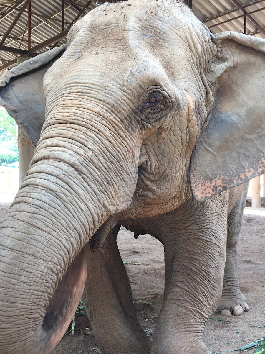 Chiang Mai, Thailand
